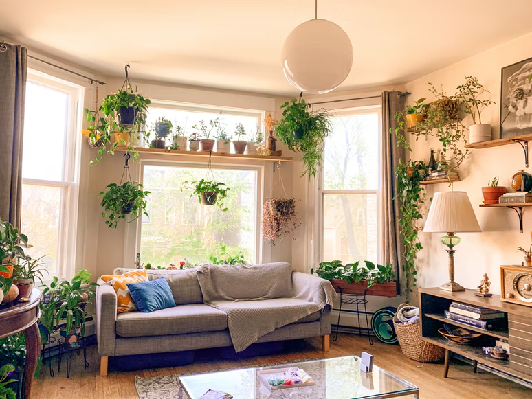 include more plants in your home