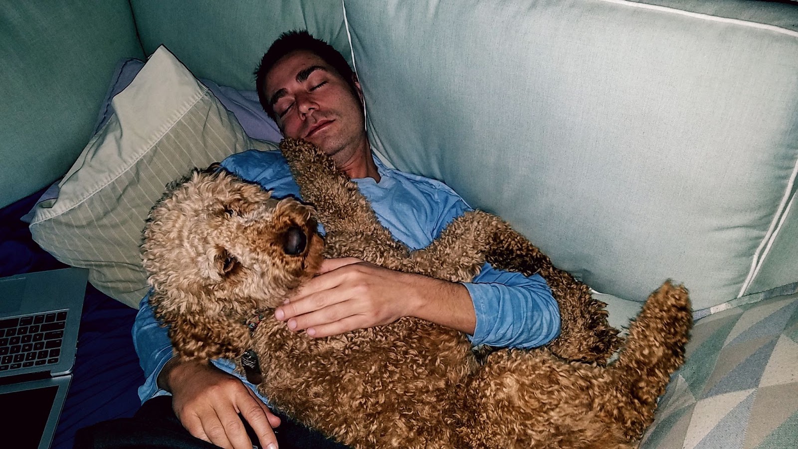 A man with dark hair and olive skin in a blue pajama top sleeps on a white couch with a honey-colored fluffy curly poodle lying on his chest.