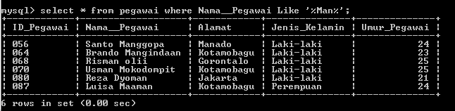 C:\Users\Aras\Documents\Tugas semester 1\Basis data\Tugas besar\7 Like, Order by, Grup By, Asc, Des\Like\Pegawai\Like 49.PNG