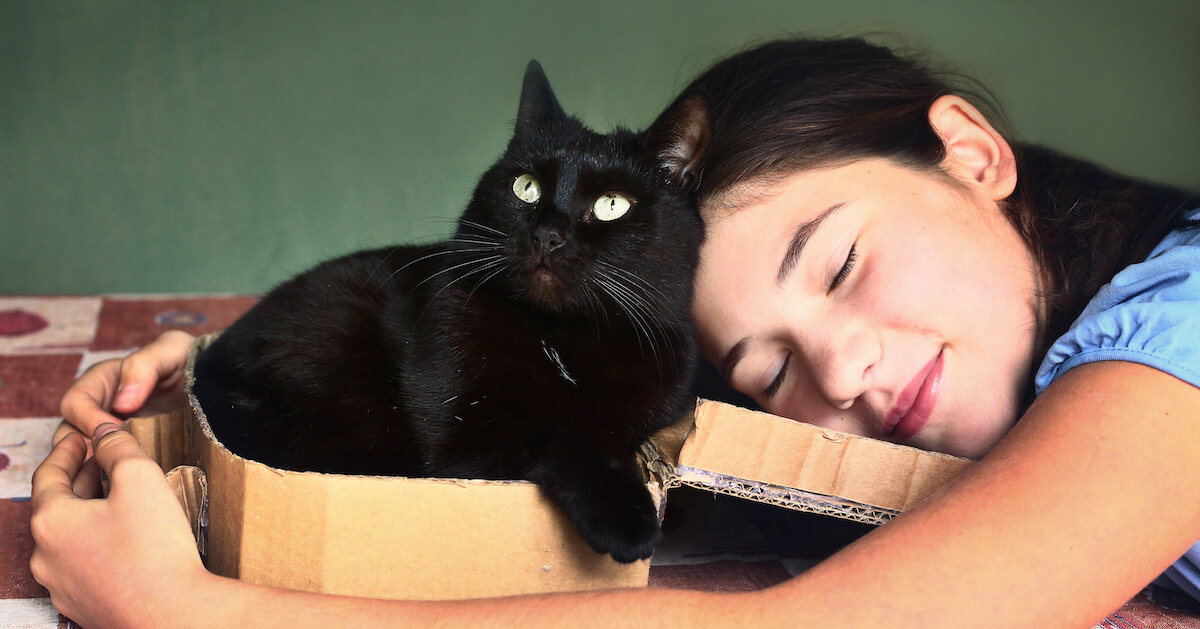 Kid cuddling black cat in box