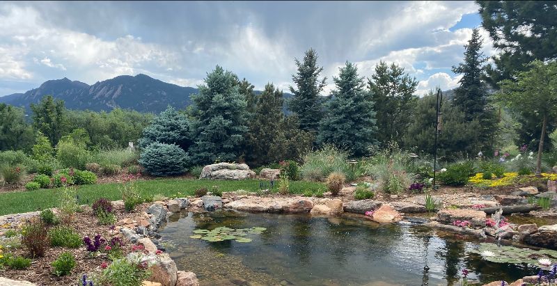 Beautiful backyard pond with Boulder, CO flatirons in distance