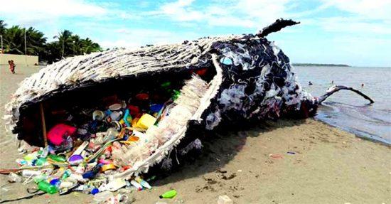 Plastic Pollution in India: Causes, Consequences, Challenges & Solutions -  IAS EXPRESS