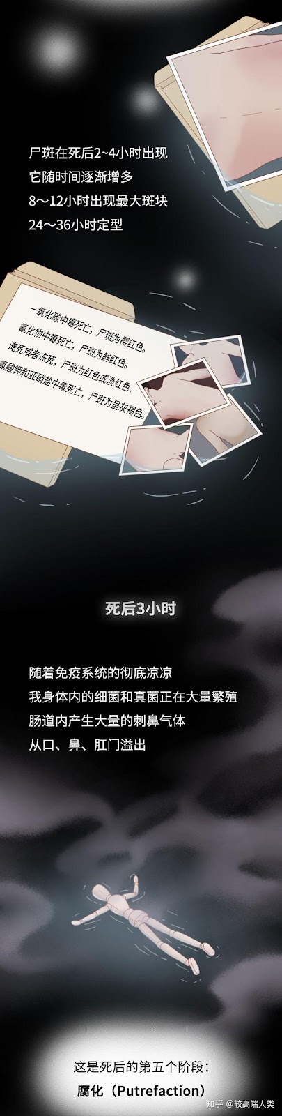 图片[5]-Quá trình phân huỷ của tử thi xảy ra như thế nào? ( Phần 1/2 )-Weibo24h.com