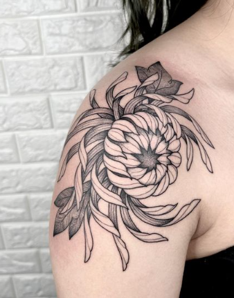 Clean And Neat Chrysanthemum Tattoo