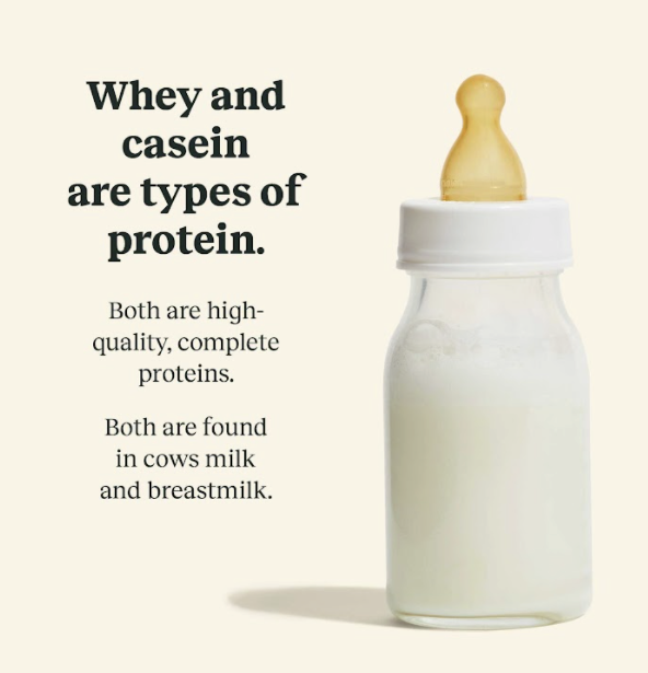 Infographic on whey and casein in baby formula.