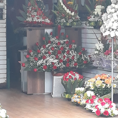 Opiniones de Flor y Amor Florería en Quito - Floristería