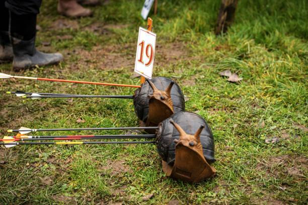 Target for Archery and Arrows - Two Fake Snails Animals Close-up of two archery targets and arrows, fake snail animals above the green grass in autumn. Top Hunting Tips: Strategies to Improve Your Skills in The Field 2023 stock pictures, royalty-free photos & images