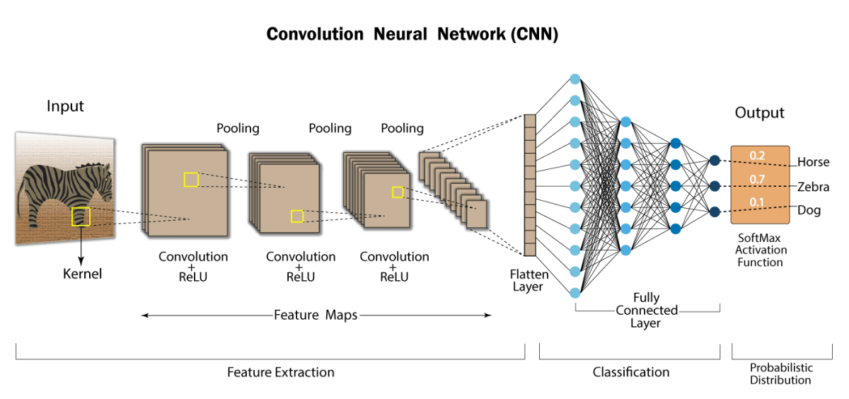 Convolutional Neural Network | Deep Learning | Developers Breach