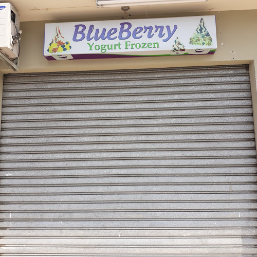 Blueberry Frozen Yogurt - Heladería