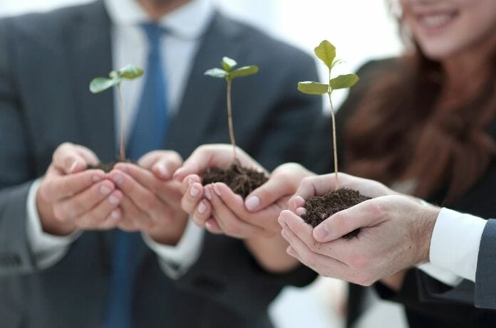 Greening Your Business? Here’s A Quick Start Guide To Effective Environmental Sustainability
