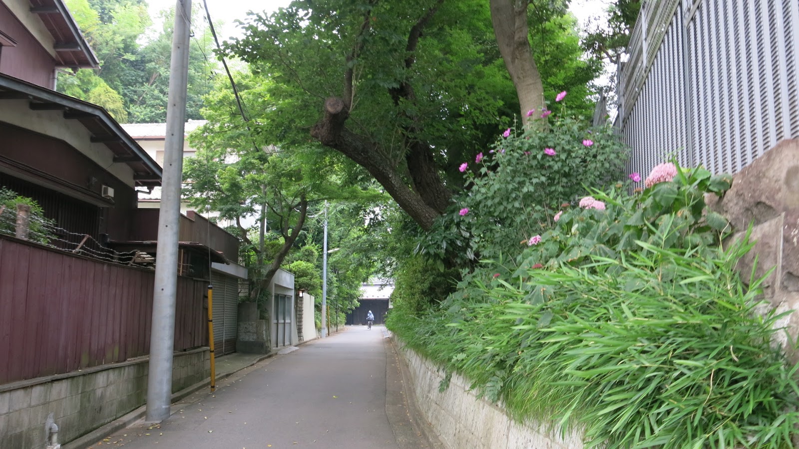 景點 東京石神井公園靈異傳說公主怨靈浮現 Line旅遊