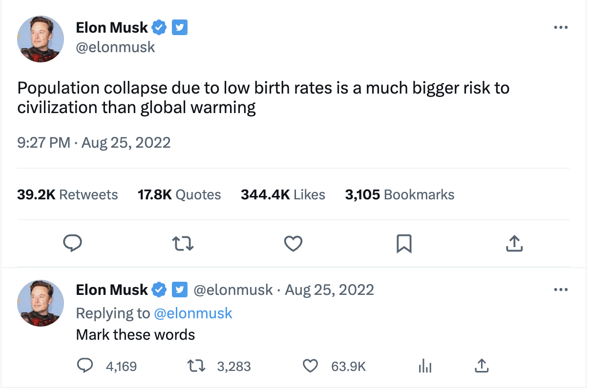 Elon Musk warns about population collapse | Image Source: X