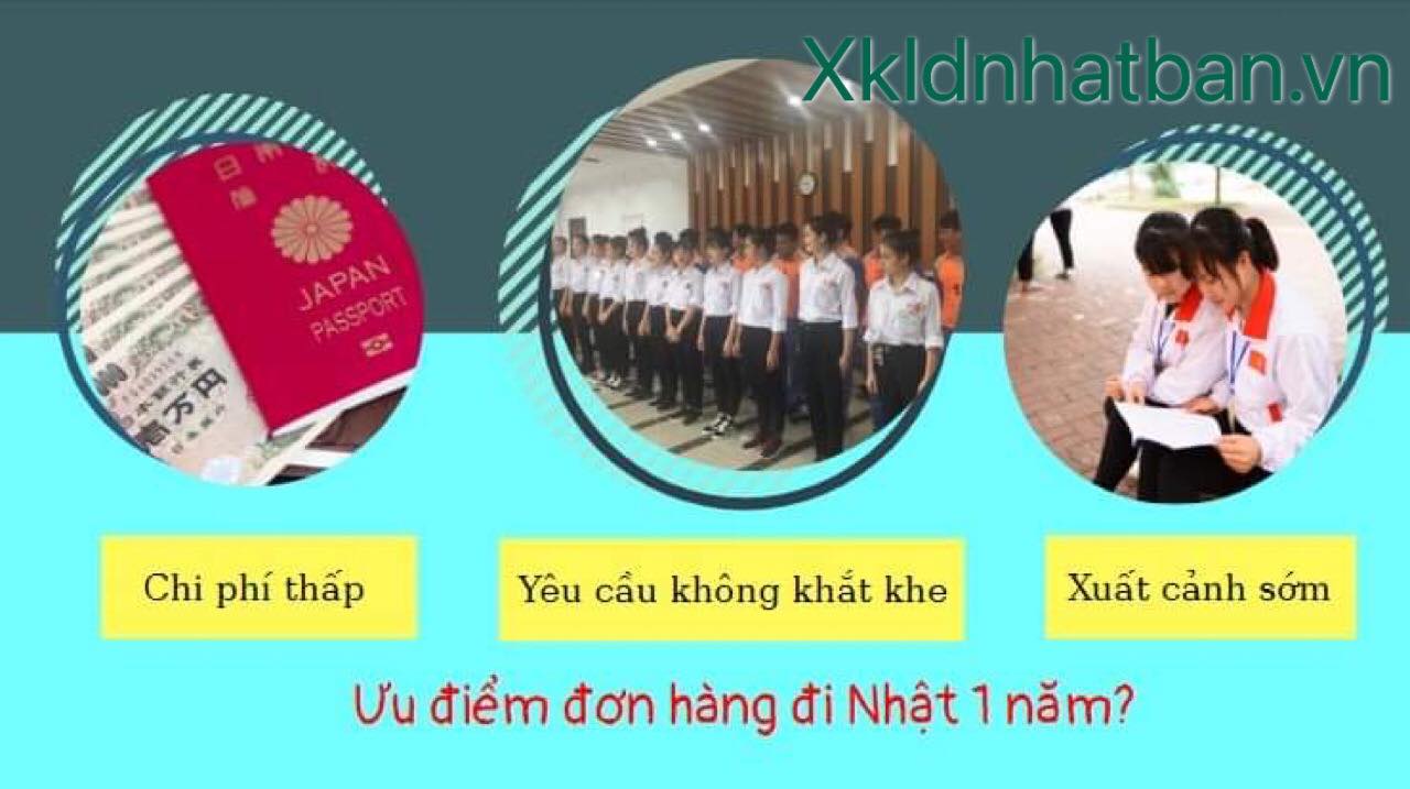 đơn hàng 1 năm đi Nhật