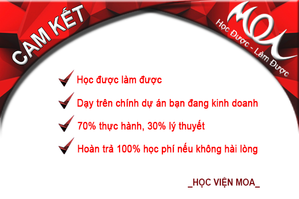 Hướng Dẫn Học SEO Website Cơ Bản Cho Người Mới Bắt Đầu