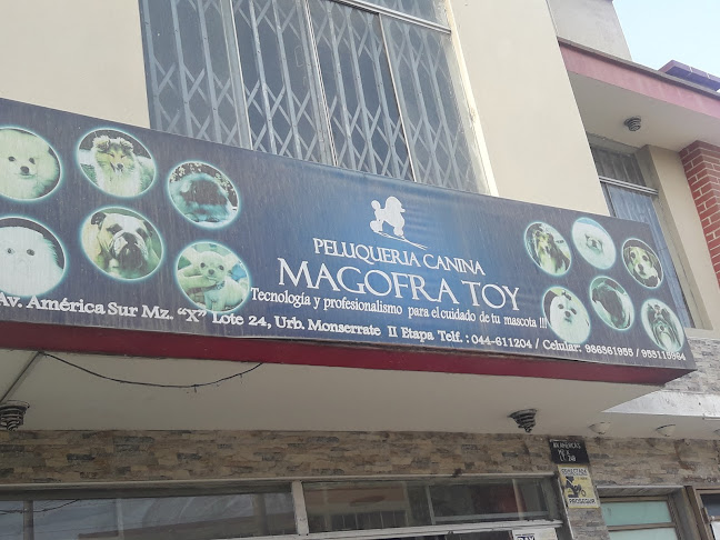 Magofra Toy - Trujillo