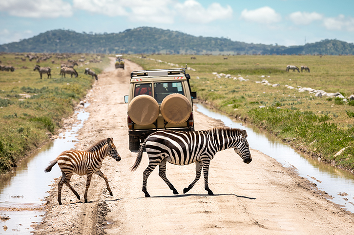 National Parks to Visit in Tanzania
