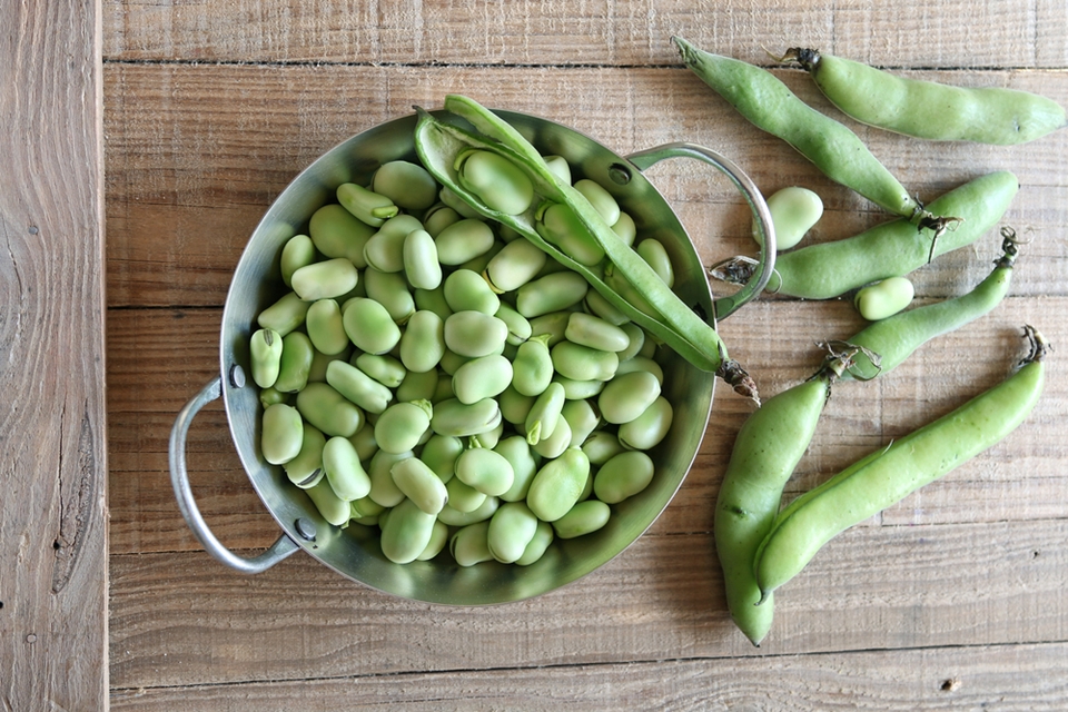 plant beans