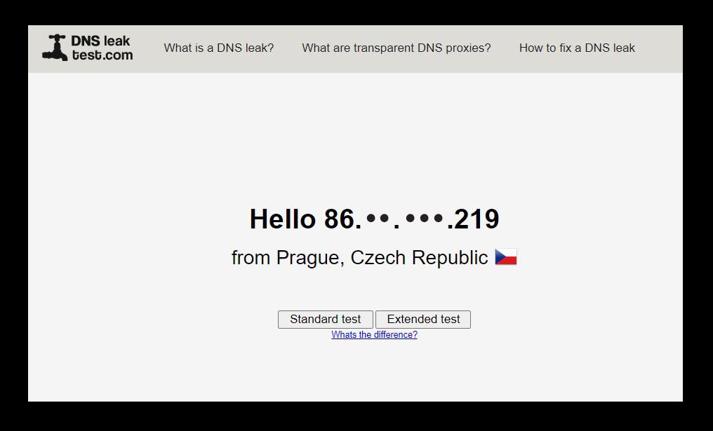 Как проверить утечку DNS?