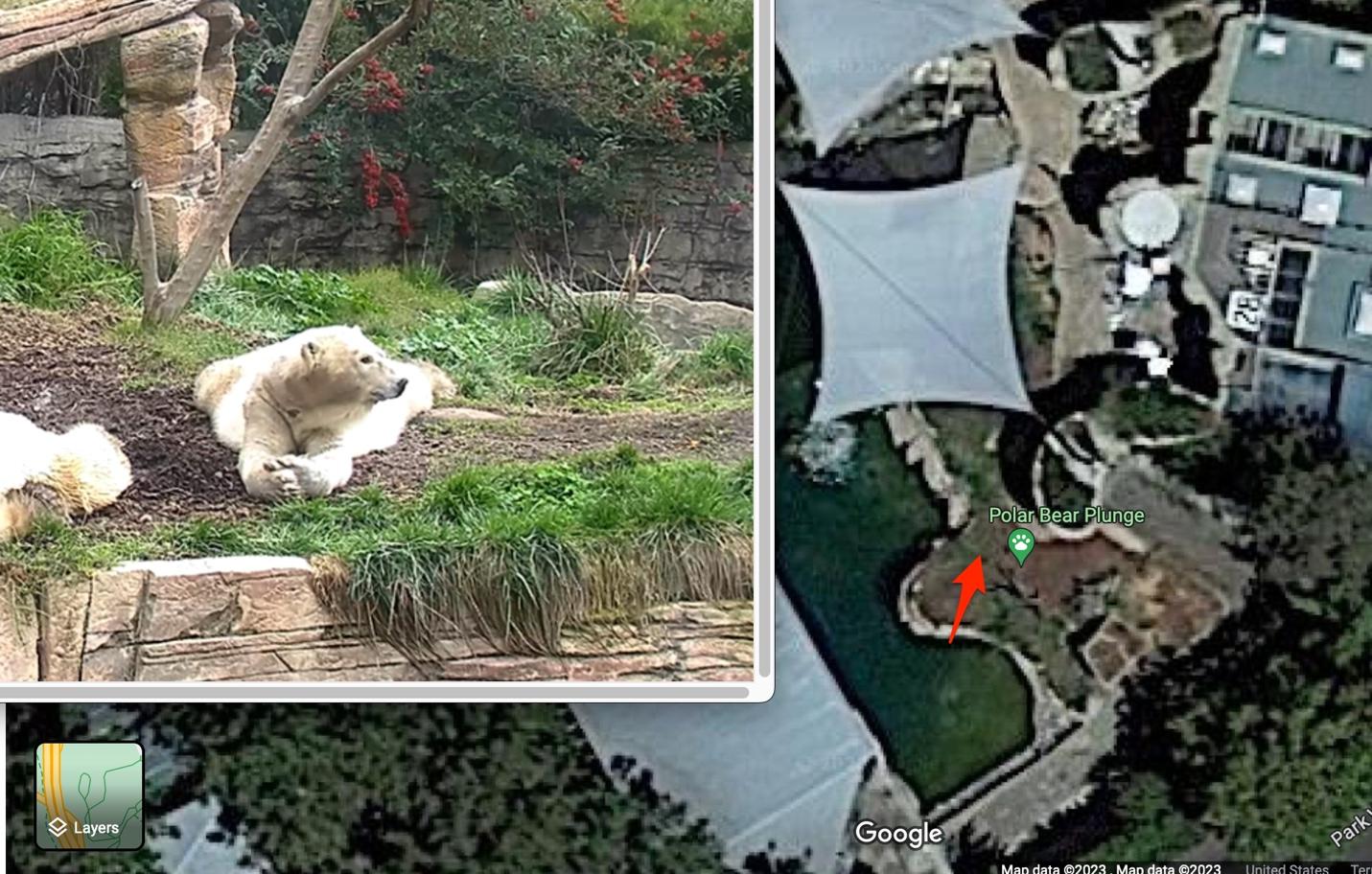 Two pictures of the polar bear enclosure point to the fall tree stump from two perspectives google maps and the zoos camera provided by white oak security penetration testing company we now know the polar bear coordinates 