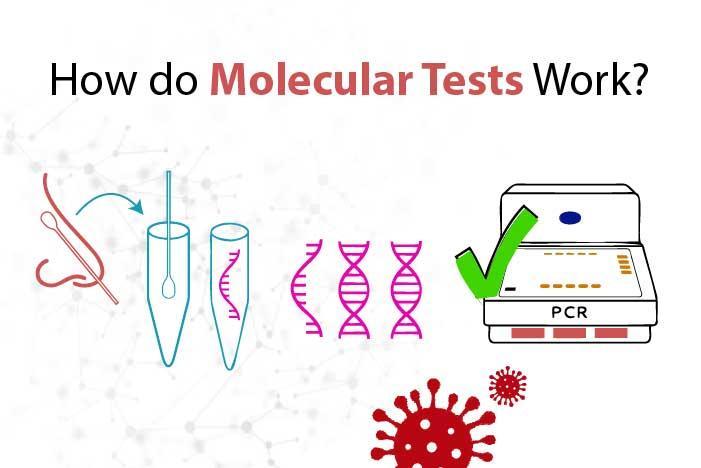 The workings of molecular tests