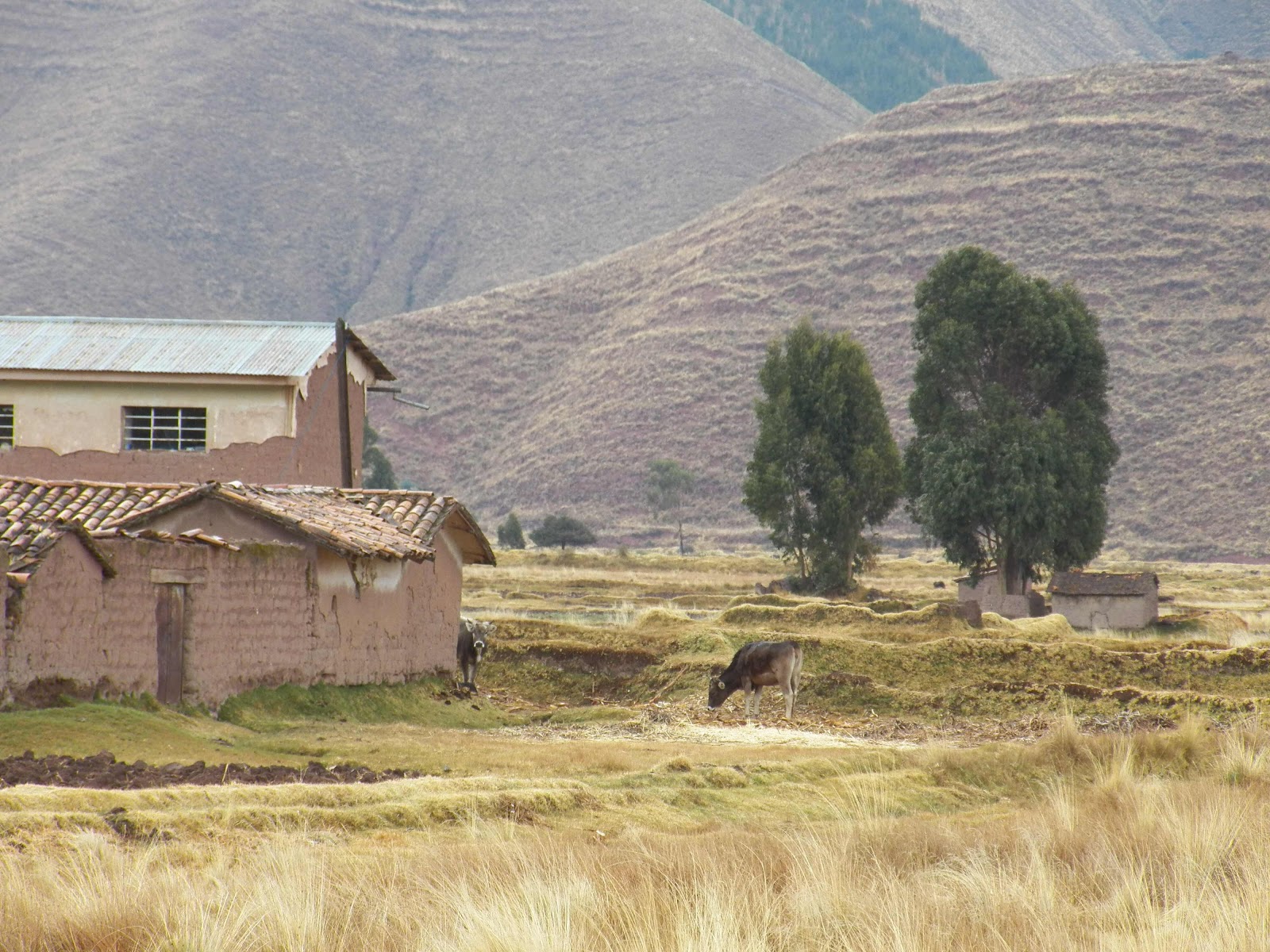 Cordillera, Peru