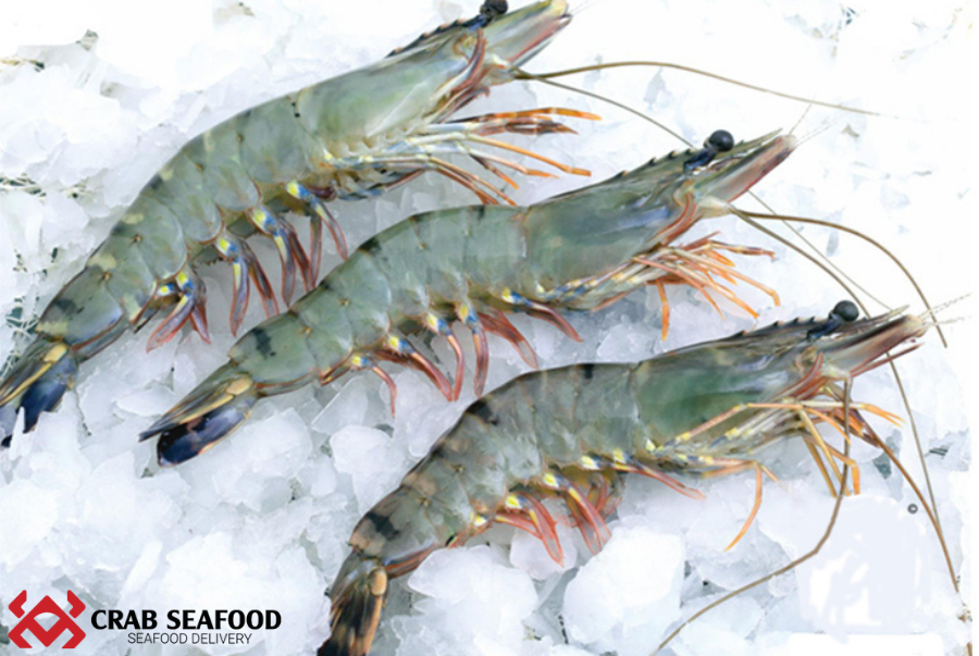 CỬA HÀNG BÁN TÔM SÚ TƯƠI SỐNG TẠI TP.HCM - Crab Seafood