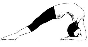 viparita dandasana