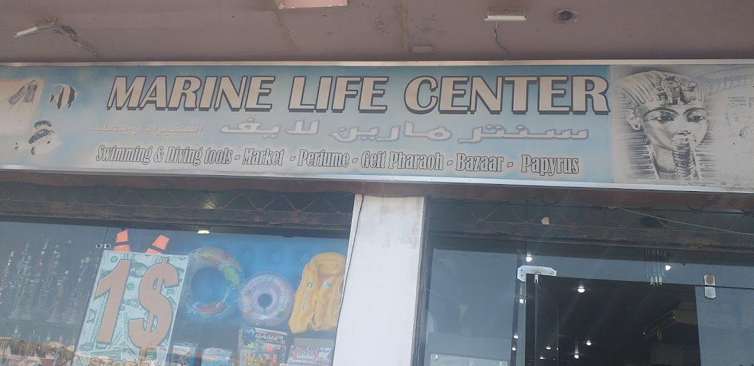 Marine Life Center