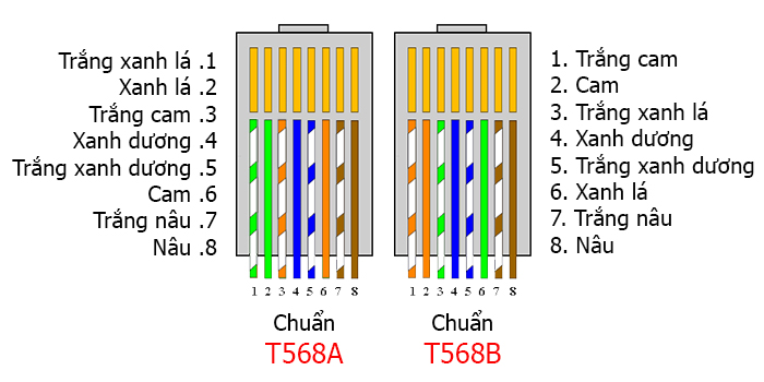 các chuẩn bấm dây cáp mạng