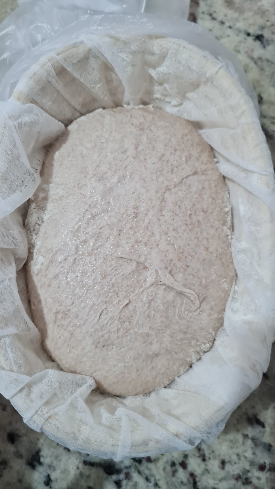 pão fermentando no banneton