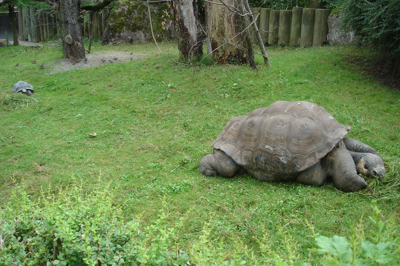 036404370-big.jpg