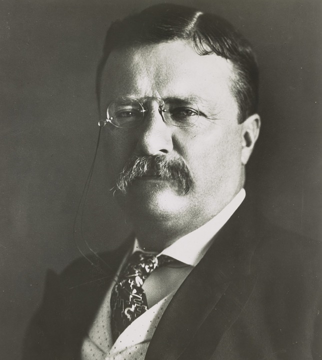 Theodore Roosevelt, Politician