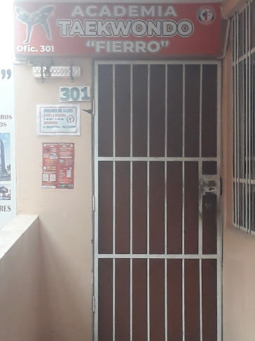 Opiniones de Fierro en Huancayo - Centro comercial