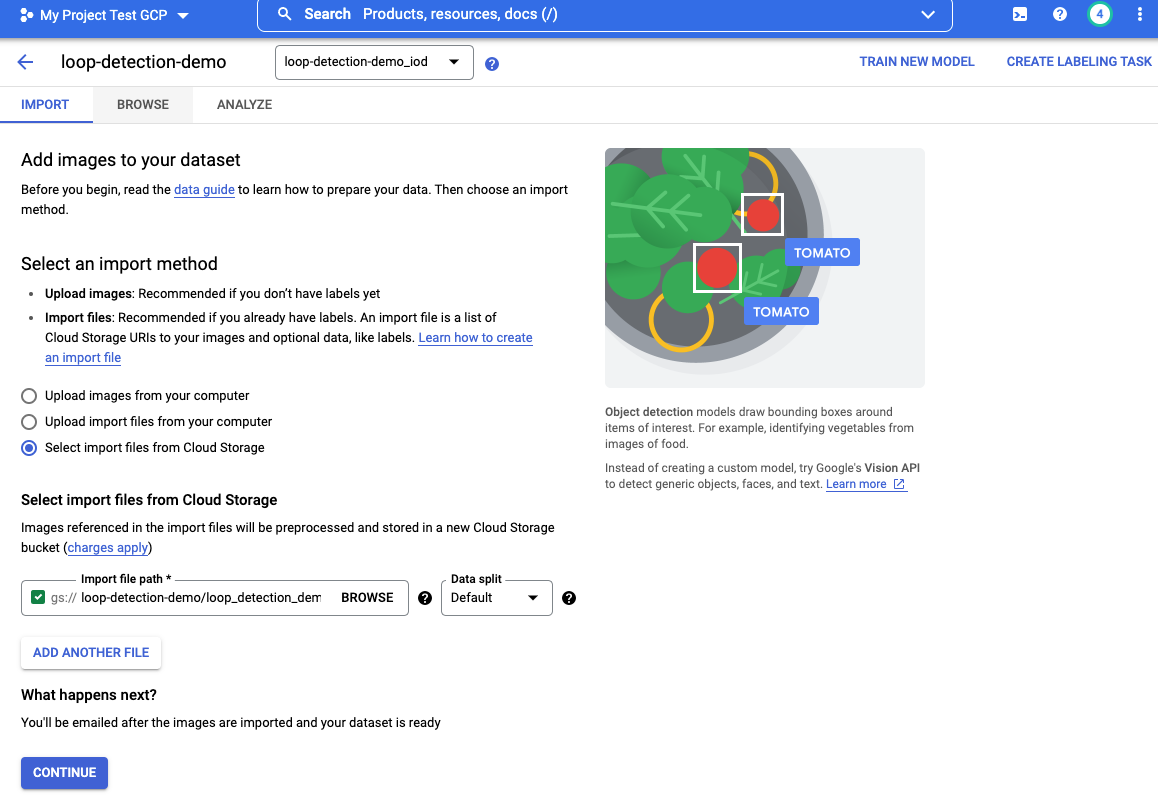 Screenshot from Google Cloud Platform  - Import images