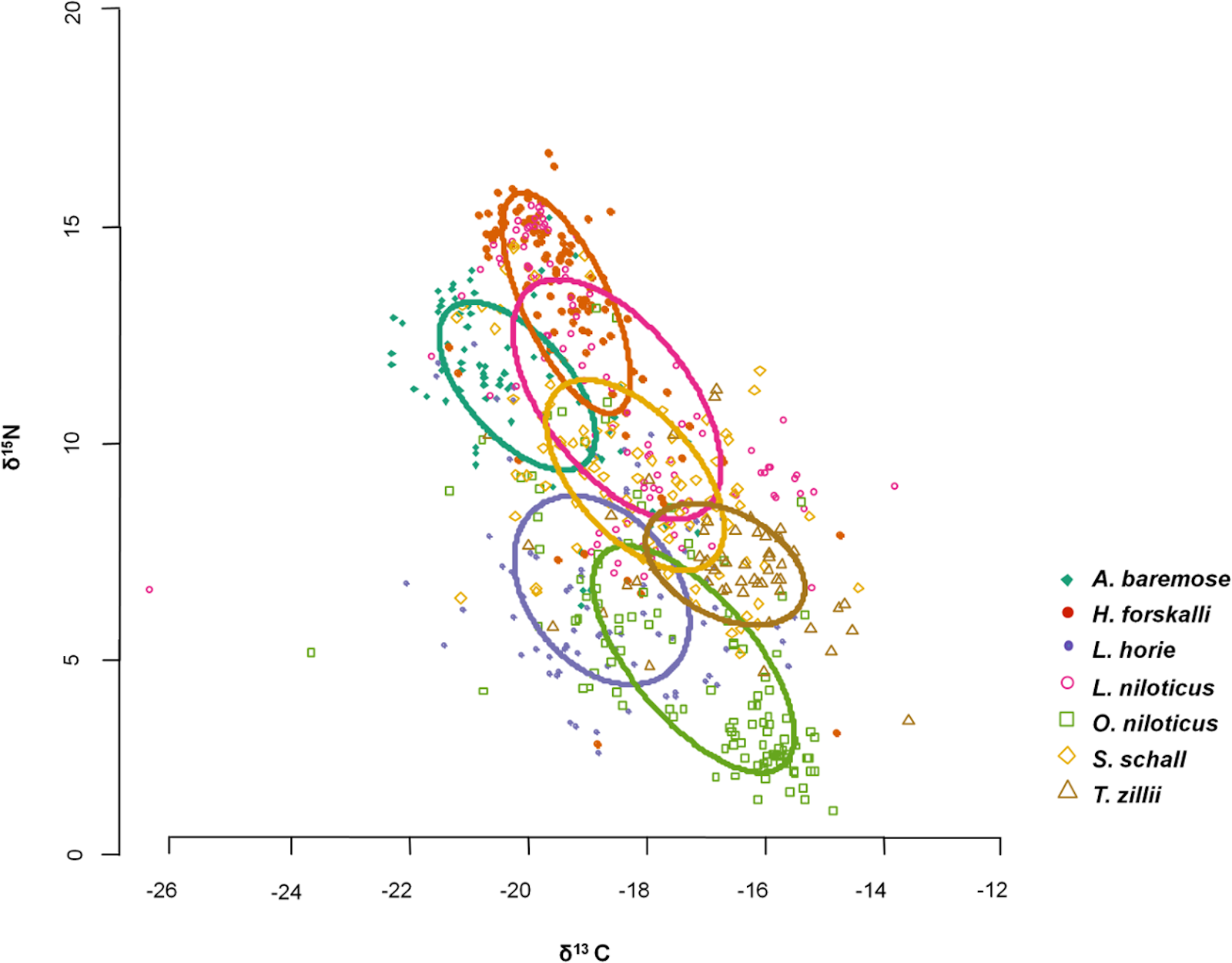 A scatter plot with concentration of carbon thirteen ranging from negative twenty-six to negative twelve on the x-axis and concentration of nitrogen fifteen ranging from zero to twenty on the y-axis. Species H. forskalli and A. baremose are closest to the top left, with S. schall , and L. niloticus in the middle, L. horie on the bottom middle, and O. niloticus abd T. zillii on the bottom right.