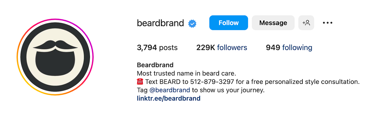 how to make a professional instagram bio