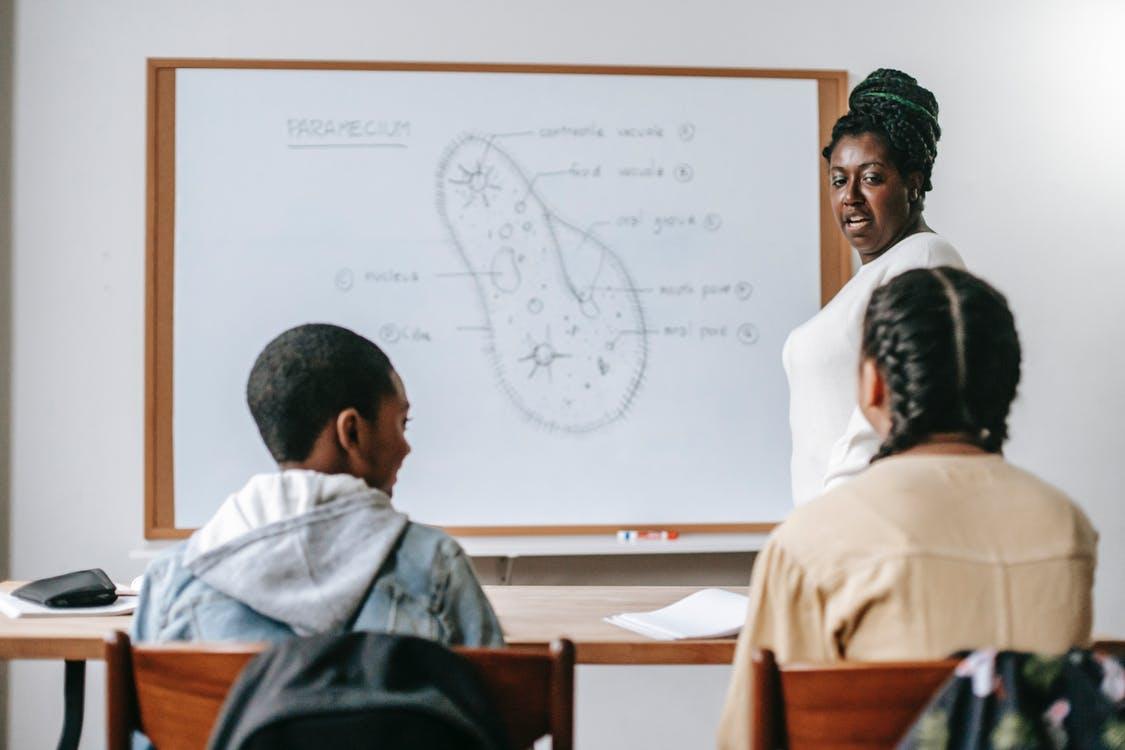 Students listening to their teacher