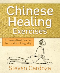 ChineseHealingExercises.jpg