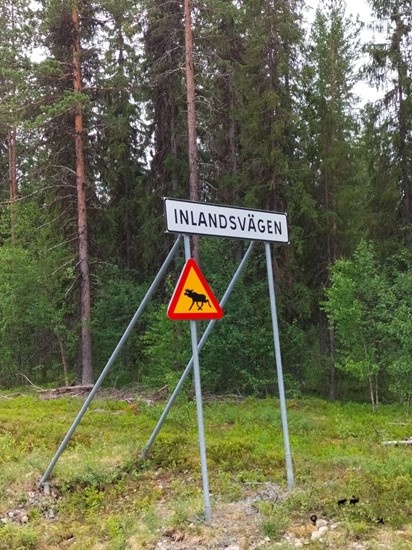 The road sign of the internal road of Sweden also with the moose crossing danger symbol. In the background the Swedish forest.