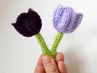 hand holding two knit crocus flowers on white background
