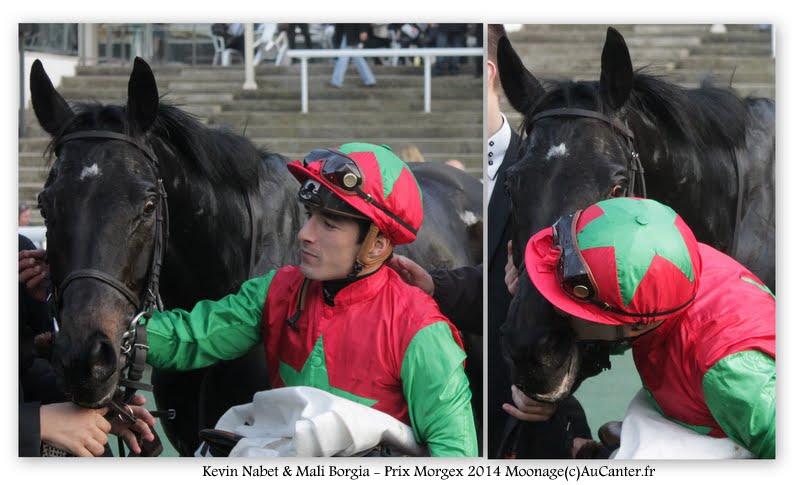 Jockeys' attitudes - Page 3 HcOcvphKiIw5BnwipwTYhrrQmuDi2aWNH4TzyQJ0Xazq=w800-h485-no