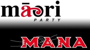 Image result for Mana party