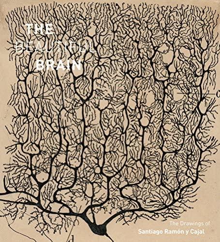 The Beautiful Brain: The Drawings of Ramon y Cajal : DeFelipe, Javier,  Swanson, Larry: Amazon.com.tr: Kitap