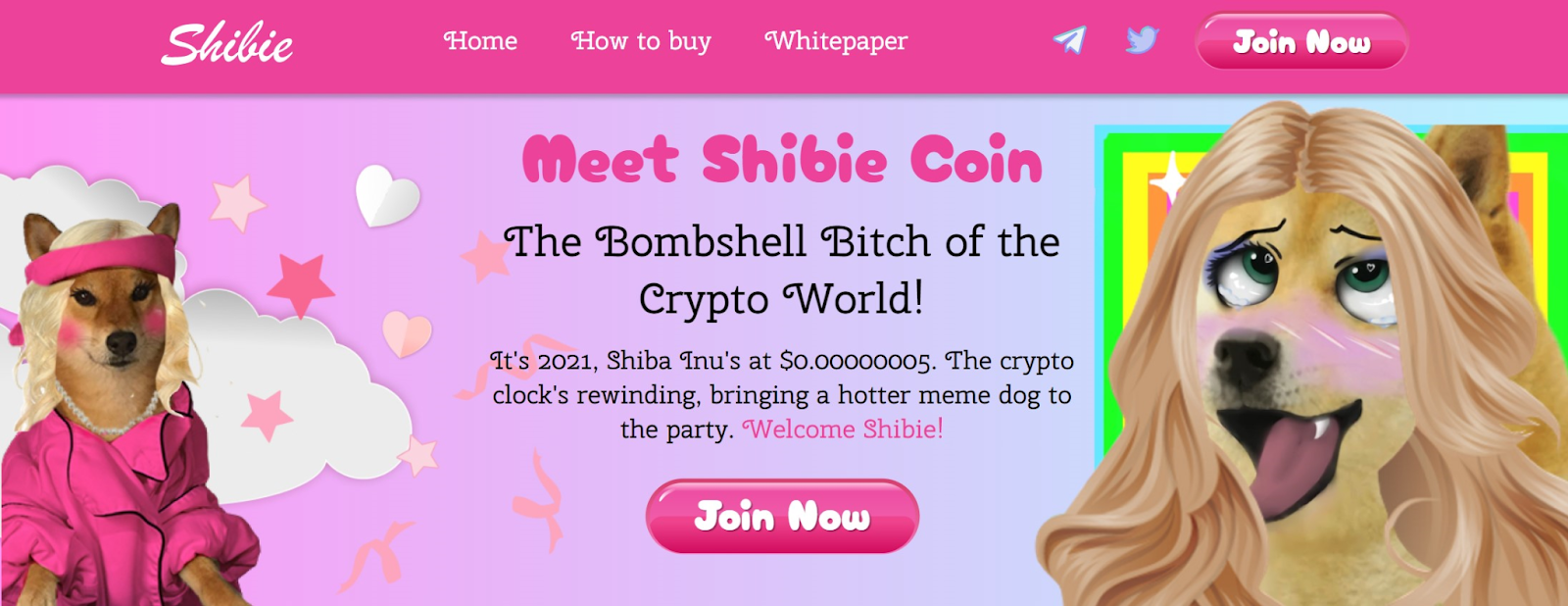 Shibie Coin presale