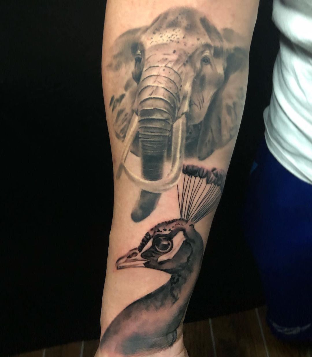 Elephant and Peacock Tattoo