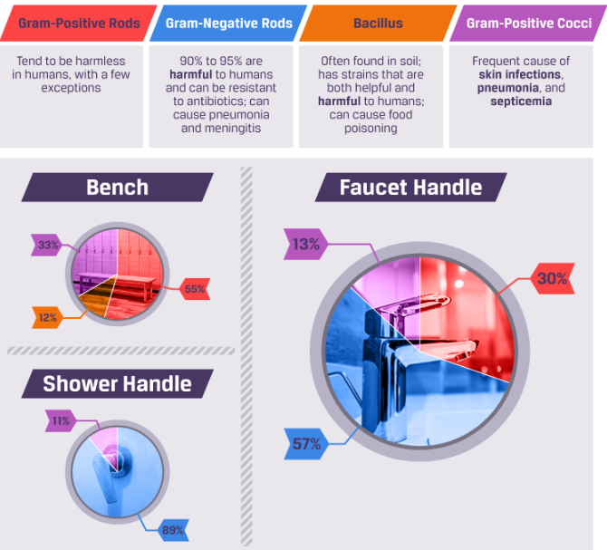 graph of the germs in a bathroom