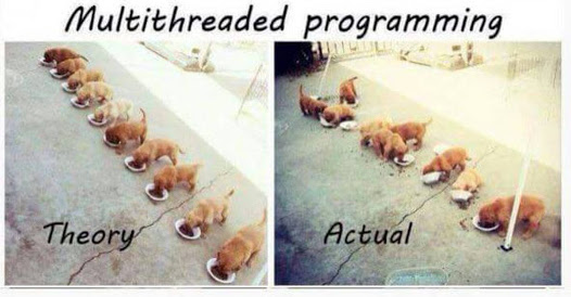 image of puppies eating out of their bowls as an analogy for parallel programming. Basically we want it to be neat but it turns out chaotic