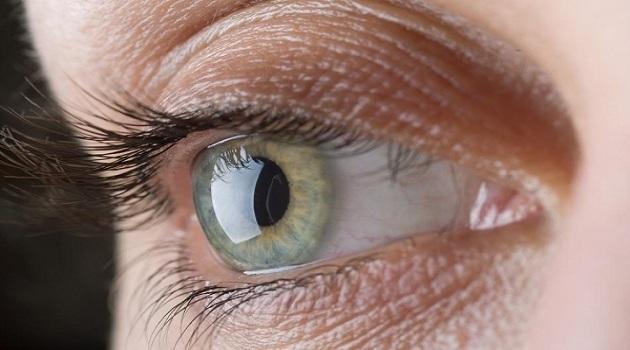 Bệnh mắt: Tăng nhãn áp | Thư Viện Hướng Dẫn