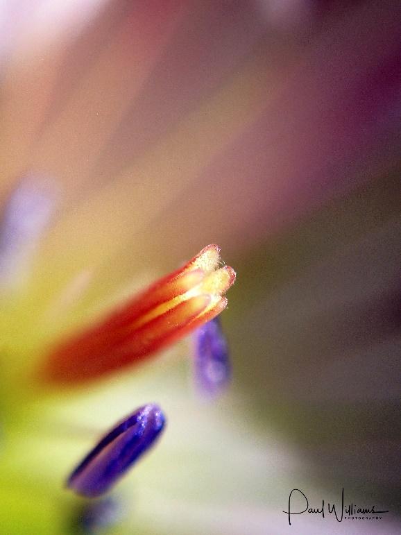 A close up of a blur