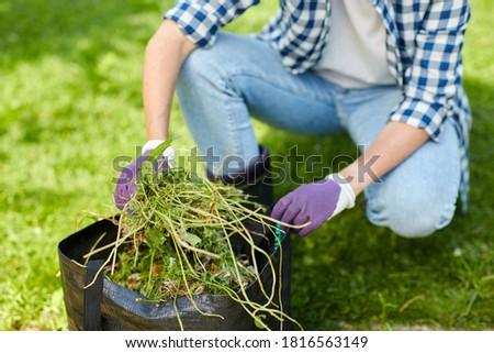 A homeowner removing garden weeds